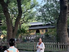 -普陀山风景名胜区-法雨禅寺