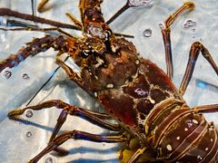 -吉莲利苑海鲜酒家(珠海拱北29年老字号店)