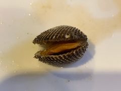 -胖太太四川麻辣排骨串(镇江路分店)