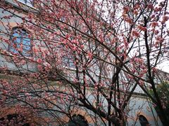 -上海交通大学董浩云航运博物馆