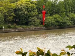 -澹台湖公园