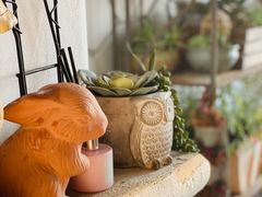 -Vanillacafe香草咖啡(银海大世界店)