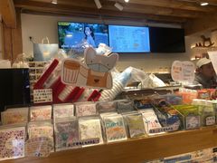 -猫的天空之城概念书店(丽江古城饮玉巷店)