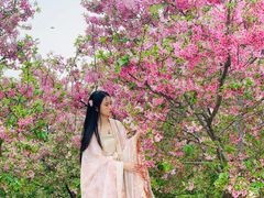 -天适樱花悠乐园