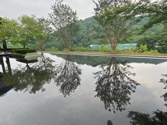 -湘湖逍遥庄园·水漾中餐厅