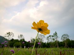 -北京西山国家森林公园