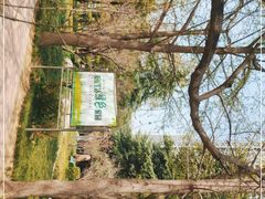 -渭滨公园