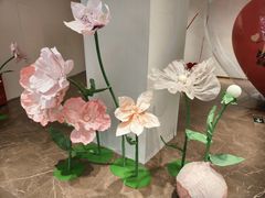 -凯德MALL(望京店)