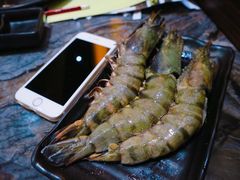 -熊出没日本烧肉放题