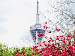 -成都市活水公园