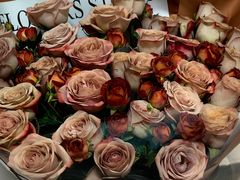 -峨嵋酒家(牡丹园店)