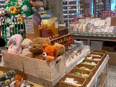 -猫的天空之城概念书店(北戴河蔚蓝海岸店)
