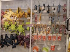 -翊宠yipet猫狗购宠庄园犬舍•猫舍