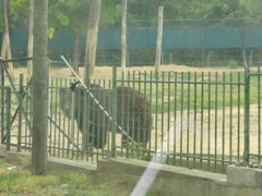 -秦皇岛野生动物园