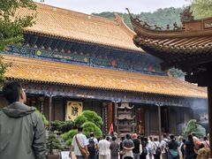 -普陀山风景名胜区-法雨禅寺