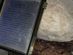 -上海市东方医院(总院)