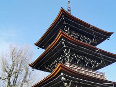 -医王山·飞騨国分寺