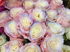 -Flower in(密渡桥店)