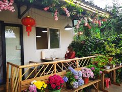 -云朵小院·石锅鱼·野生菌餐厅(蒗放店)