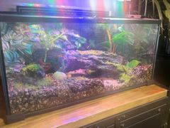 -百好乐宠物友好餐厅(朝外大街店)