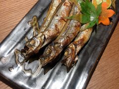 -水之惠鲜鱼料理(王府大街店)