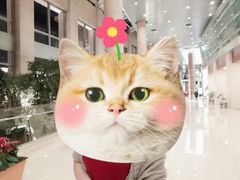 -北京饭店