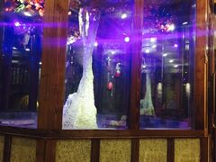 -8号公馆(金川街店)