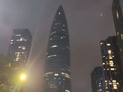 -华润深圳湾体育中心-“春茧” 体育馆