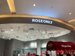 -ROSEONLY诺誓(广州K11店)