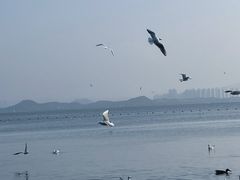 -深圳湾公园(南山区)