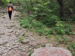 -龙洞风景区-藏龙涧