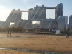 -金梦海湾浴场
