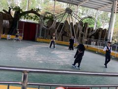 -泉州海丝野生动物世界