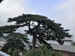 -妙峰山风景名胜区