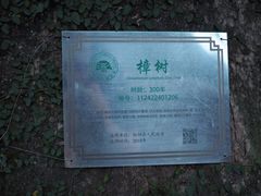 -杨家堂村