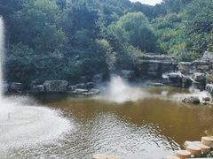 -北京西山国家森林公园