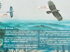 -大金鹰园