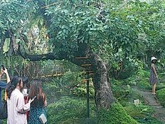 -Chom Cafe and Restaurant