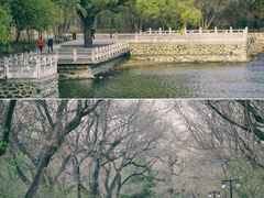 -北陵公园