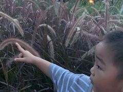 -怡海公园(桂城街道)