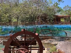 -广州白江湖森林公园