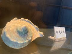 -广东惠东海龟国家级自然保护区