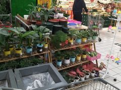-大润发(张江店)