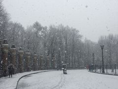 -滴血救世主教堂