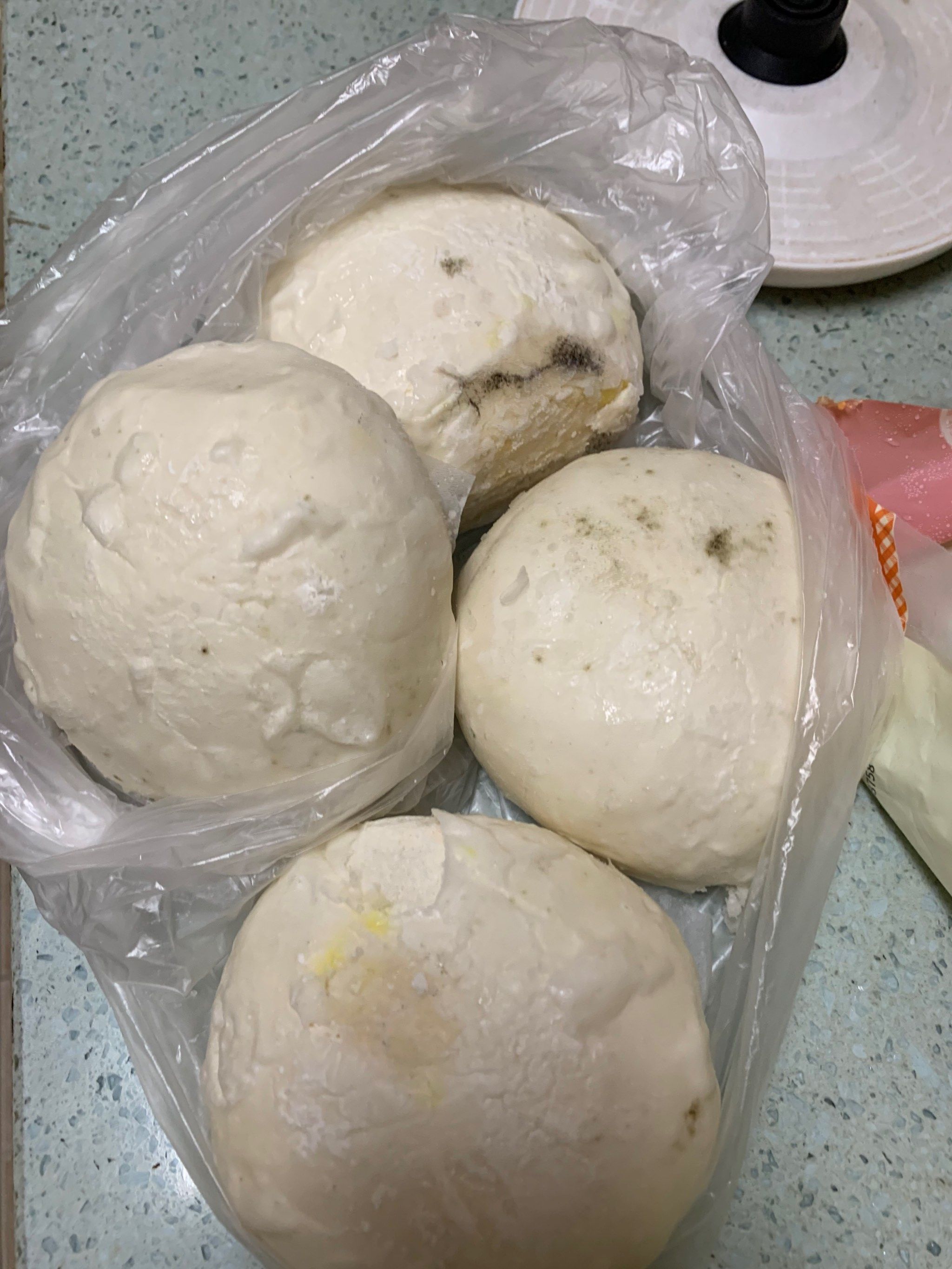 最烦夏天了我买的馒头都变质了￼￼