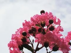 -府河摄影公园