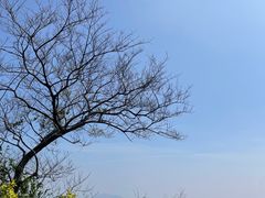 -广州市白云山风景名胜区