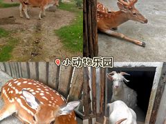 -乌村