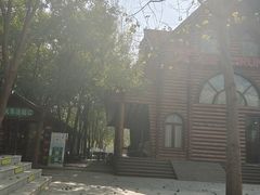 -合肥滨湖国家森林公园