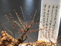-石家庄市植物园